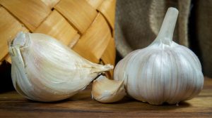 heads of elephant garlic