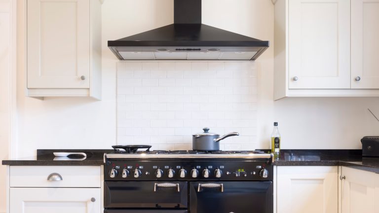 https://www.tastingtable.com/1393616/use-vegetable-oil-polish-range-hood/