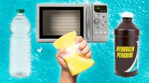 https://www.tastingtable.com/1475378/best-ways-clean-sanitize-kitchen-sponge/